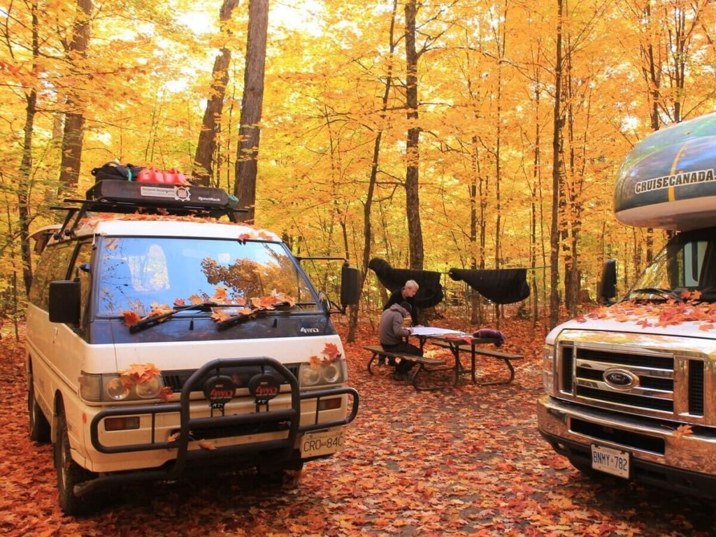 Herbst mit vielen roten Blättern auf dem Natur-Campingplatz
